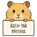 소로3-101 이미지