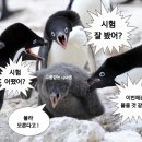 안진회계법인 이미지