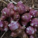 열방농장 이미지