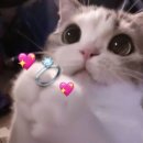 하늘4(대우) | 논현웨딩홀 엘리에나호텔웨딩 투어 후기, 보증 인원 등 정보 공유