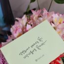 뮬란캘리