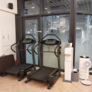 피티스튜디오 건강한 사람들 이미지