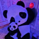 딱이야 노래연습장 이미지