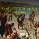 (2024.8.1. 성 알폰소 마리아 데 리구오리 주교 학자 기념일) 이미지