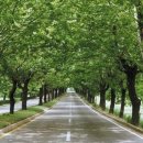 청주온천스파피아 이미지