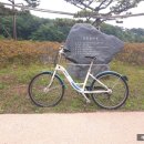 사림동169 이미지