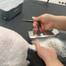 마이뷰티독 스타필드 부천점 이미지