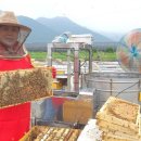 비야농장 이미지