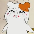 인더헤세드 네이버블로그
