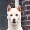레인스튜디오 네이버블로그