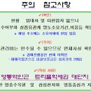 신나무실 티스토리