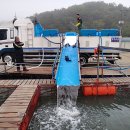 독도바다낚시터 이미지