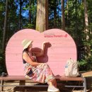 행복한숲 Happy forest 이미지