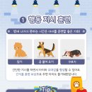 판교 행복한 동물병원 이미지