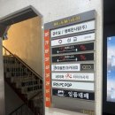 아이리스153