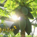 청아영농법인 이미지