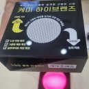 바른안경 윙크렌즈스토어 이미지