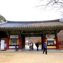 순천-13호 이미지