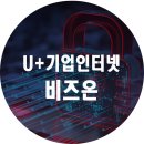 비즈온네트웍스