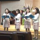 죠이스