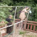 소용공원 이미지