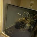 짜라호텔 이미지