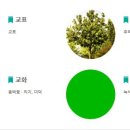 소안중학교 이미지