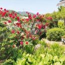 길안천 돌담집 이미지