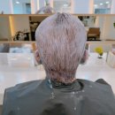 수진약품 이미지