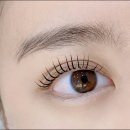 니어앤디어 이미지