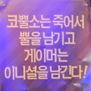 아이존팝 노원점 네이버블로그
