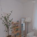 어,달달하리 이미지