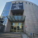 아트선재센터 | 제21회 월간미술대상 최우수상 전시 <아드리안 비야르 로하스: 적군의 언어> 관람 후기ㅣ아트선재센터