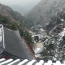 아담행정사 이미지