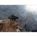 월류정 Daum카페