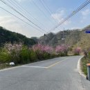 노일 화장실 네이버블로그