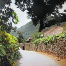 오리장군 이미지