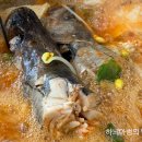 금암동태마을 티스토리