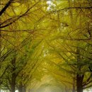 인형과만남 이미지