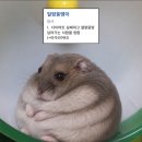 제육폭식부천 | 2026년 6월