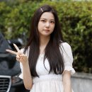 브이