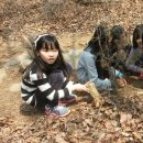 샘모루초등학교 이미지