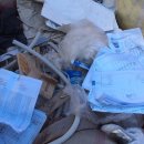 모아2리 이미지