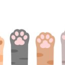 온누리산소약국 네이버블로그