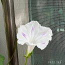 밀키웨이 이미지