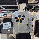105스튜디오