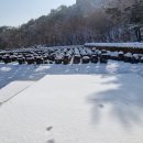 팔봉김밥 이미지