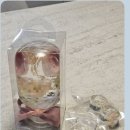 플로리모라