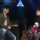 붉은낙타