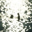 다올펜션 이미지